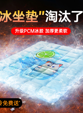 睿立森PCM冰垫坐垫冰凉降温冰垫2025新款沙发冰凉垫夏季降温神器