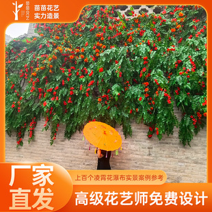 现货仿真花凌霄花炮仗花网红花墙背景拍照打卡假花装饰庭院造景批