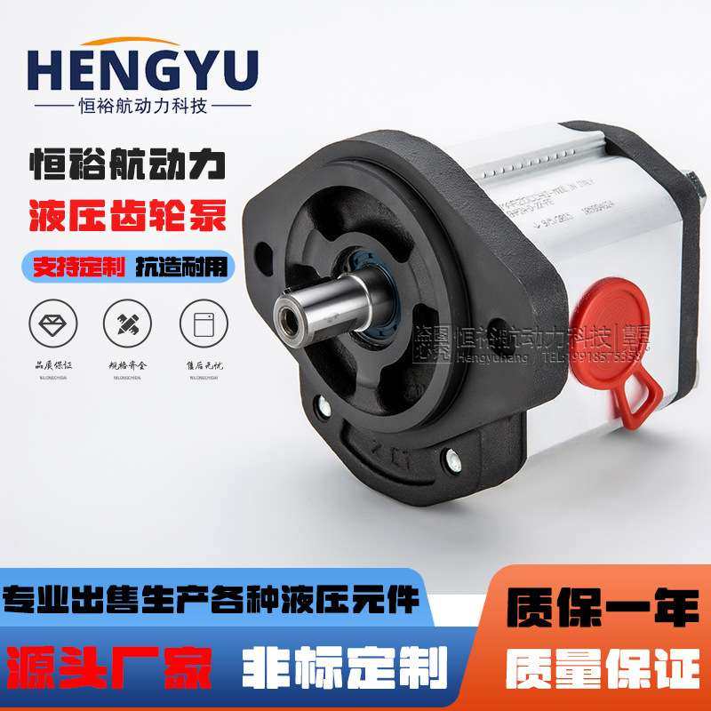 马祖奇MARZOCCHI高压 齿轮泵GHP1A 油泵 GHP2A泵 GHP3A液压泵压力