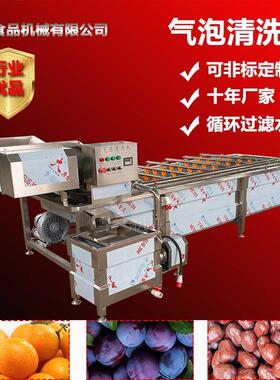 供应金桔清洗流水线气泡果蔬净菜加工设备瓜果去农残清洗机