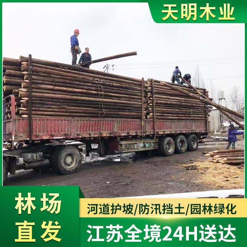 杉木桩河道打桩木桩驳岸护坡木桩打桩圆木杉木支撑杆园林绿化木桩,纺织面料/辅料/配套,纺织机械配件,淘宝优惠券,粉丝福利购,淘宝优惠卷