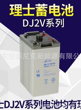 LEOCH/理士铅酸蓄电池DJ10002V1000AH48V发电机组2V500AH太阳能