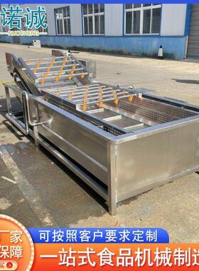 商用莴笋净菜加工清洗设备山楂千禧果喷淋清洗机果蔬清洗流水线