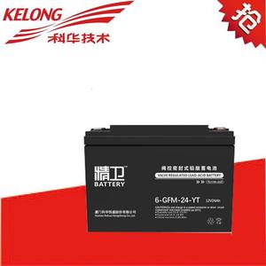 科华精卫蓄电池6-GFM-24-YT精卫电池12v24ahEPSUPS后备储能电池