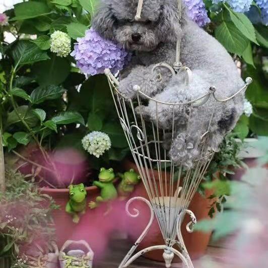直销美式铁艺落地式做旧伞形雨伞架创意雨伞收纳架花园杂货