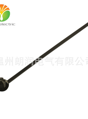 带杉树头和圆盘的汽车固定扎带 156-00619/156-00158/T50RFT8