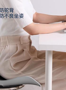 西莱CP-WP生1ZD111/ZD护腰坐垫垫办公室久坐学居森家椅子腰靠背护