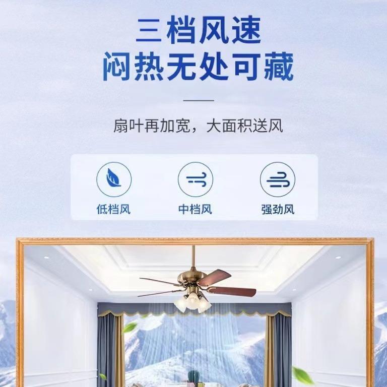 体2025款风扇灯ALA扇灯餐吊厅家用美式现代简新约客厅一带电风扇