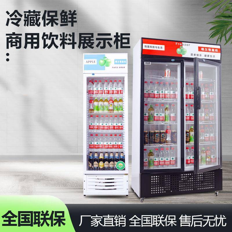 饮美单门双门立式JPI柜啤酒展示柜商用冷柜小型料星饮品冷藏柜冰