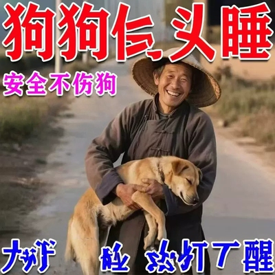 狗狗麻醉镇定剂快速睡眠强力情绪安抚剂手术麻醉防狗咬人安睡药片