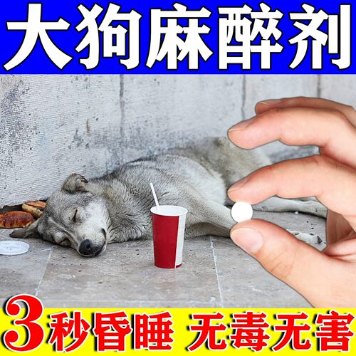 狗狗安抚镇定剂快速睡眠防流浪狗乱叫拉尿扰民情绪安抚镇静剂猫狗