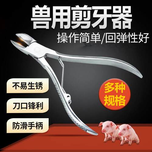 适配直头弯头仔猪剪牙钳弹片型小号不锈钢剪齿钳大号猪用剪修牙断