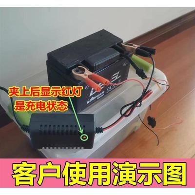 适配智能12v踏板摩托车电瓶充电器汽车通用型铅酸蓄电池12V修复充