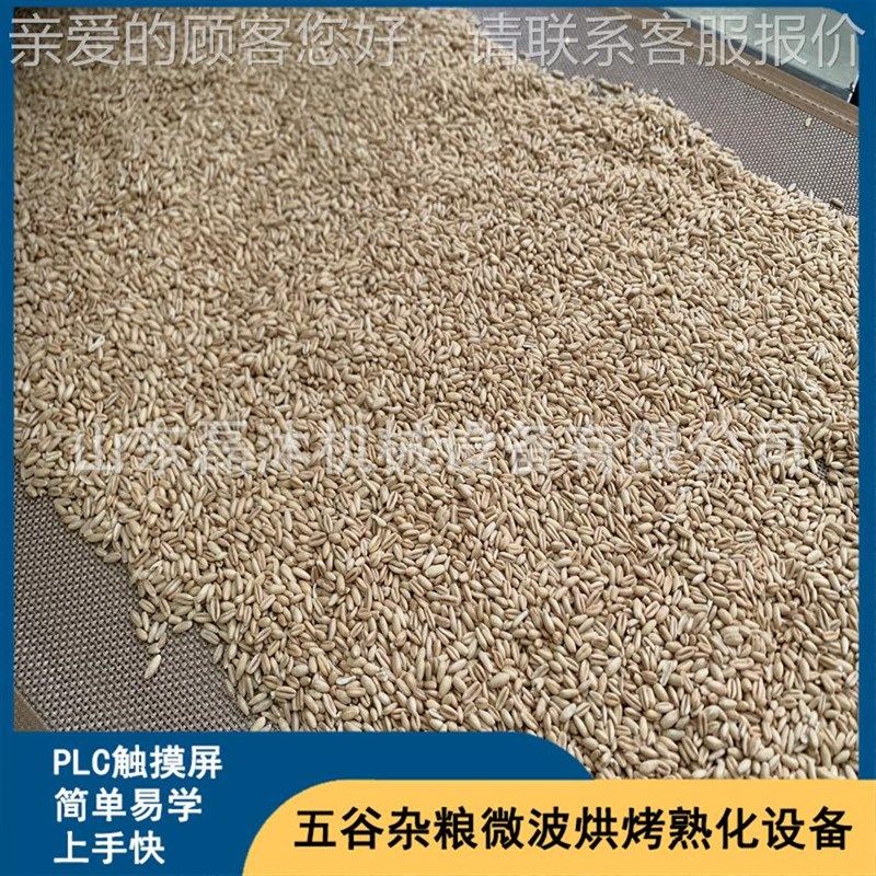 大米微波波烘烤 麦波仁微熟化设备LM-30KW- 黄机豆微烘烤隧道炉,机械设备,干燥机/干燥箱/烘干机,淘宝优惠券,粉丝福利购,淘宝优惠卷