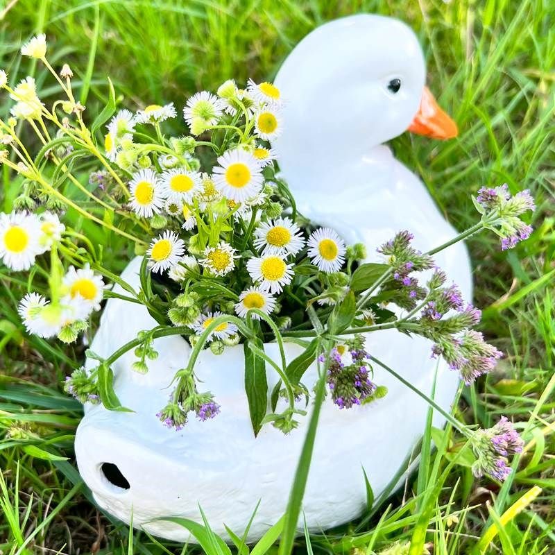 古法养鱼鱼缸水缸陶瓷鸭子景观流水罐流水摆件循环水过滤材料容器,家居饰品,流水摆件,淘宝优惠券,粉丝福利购,淘宝优惠卷