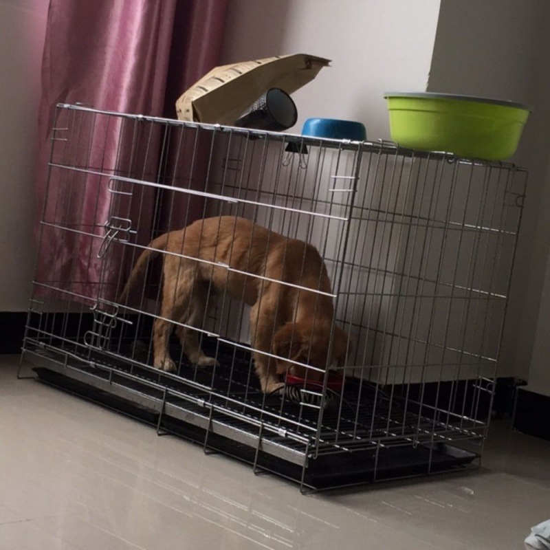 繁育笼狗笼子角钢大中小型拉布拉多泰迪折叠鸡鸭鹅鸽笼兔子笼子