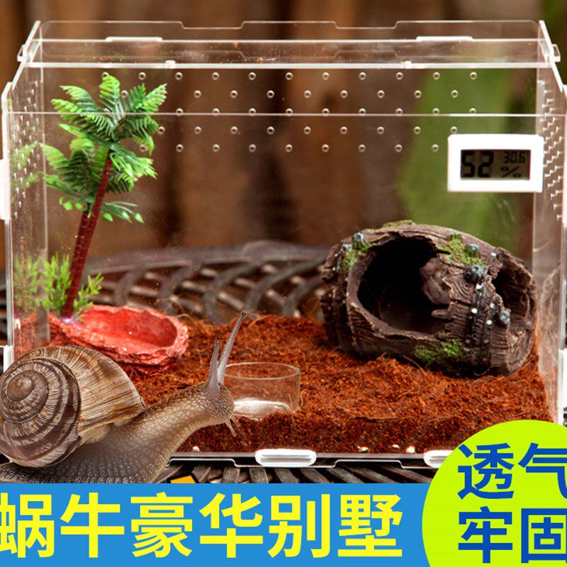 推荐蜗牛别墅爬行宠物蜘蛛昆虫守宫蜥f蜴角蛙独角仙蝎子螳螂饲养