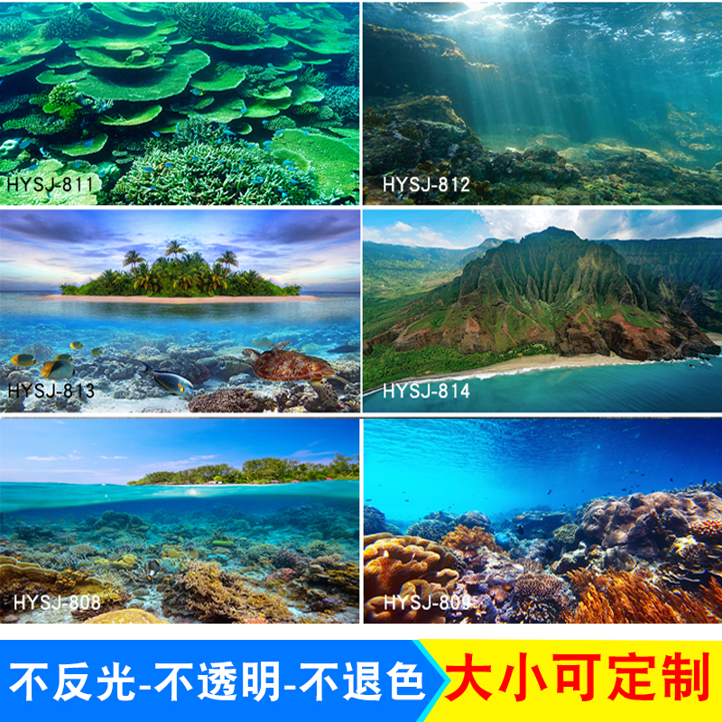鱼缸背景贴纸高清图3d5d立体装饰画缸外壁纸壁画造景海洋贴画定制图片
