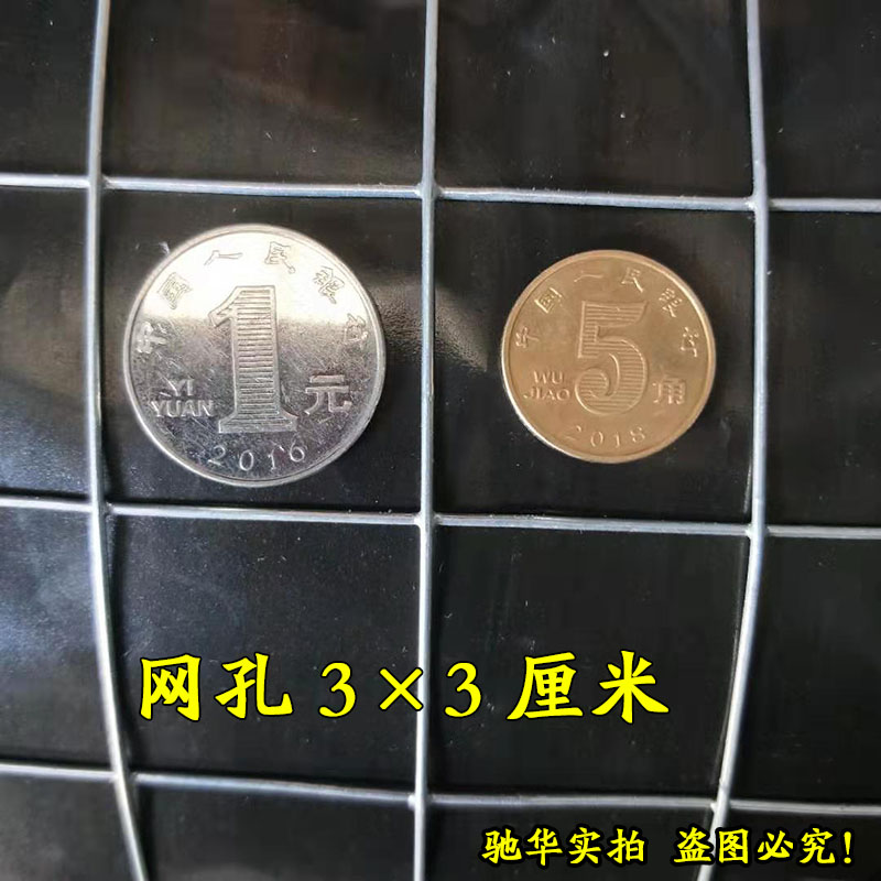 新款镀锌铁丝网围栏养殖网电焊网防护网鸡鸭鹅鸽兔养殖防锈小孔家