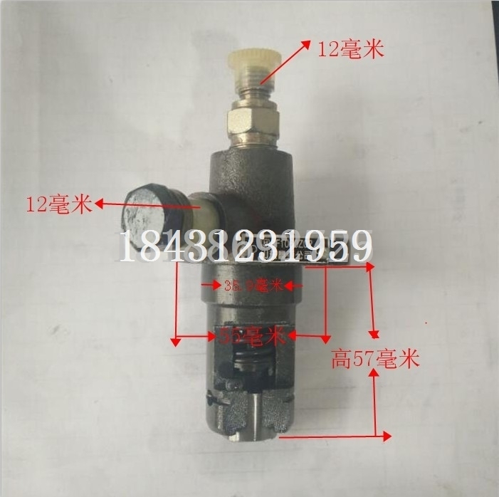常柴 常发 常州单缸柴油机配件 R176 喷油泵总成 柴油泵 柱塞总成