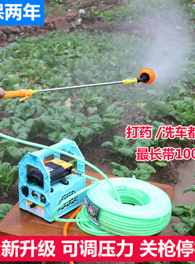 农用电动喷雾器手提n式充电果树打药机抽水洗车机高压隔膜双泵机