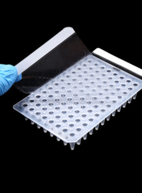 PCR封板膜 PCR Sealing Film