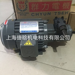 油压马达 CB2 43B0 台湾S.Y 206Y 卧式 RBB 油泵电机组 群策