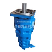 CBGJ2080 800345763 徐工双联泵 1010