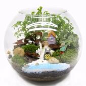 苔藓微景观生态瓶玻璃盖瓶情人节生日礼品活植物成品创意礼品