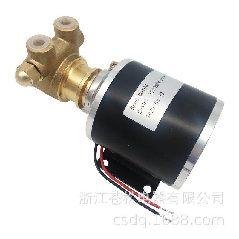 食品级饮料现调机水泵微型可乐果汁机专用水泵直流电动增压泵