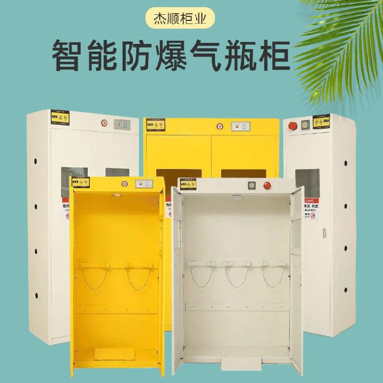 气瓶柜气体储存柜全钢双瓶智能实验室报警柜钢带报警钢瓶储存柜
