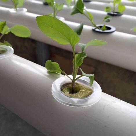 水培蔬菜种植架壁挂式PVC管道种菜机幼儿园装饰花架鲁威塑业