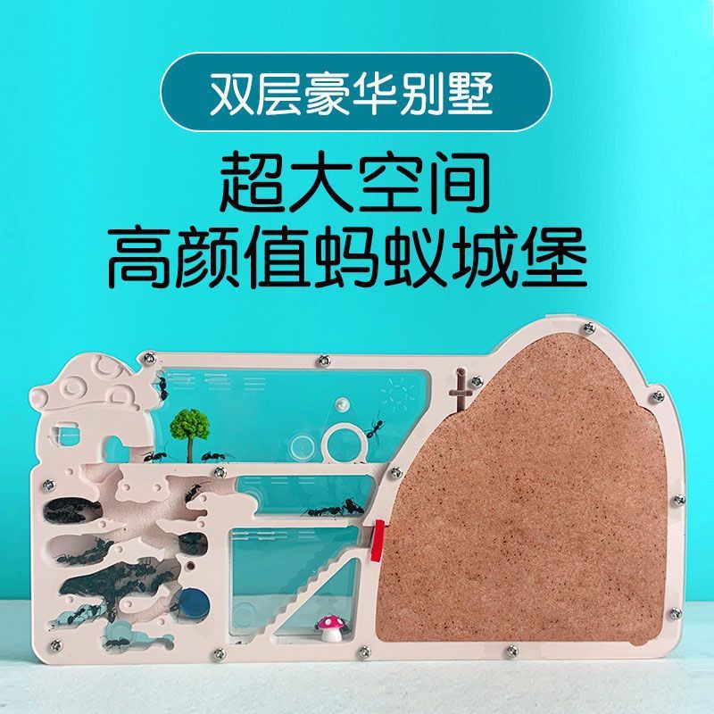 蚂蚁城堡箱小学版箱工坊巢穴饲养王国弓背蚁巢宠物扩展沙巢