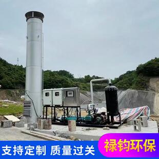 垃圾填埋场沼气火炬污水厂养殖场应急火炬内燃式沼气火炬便携式