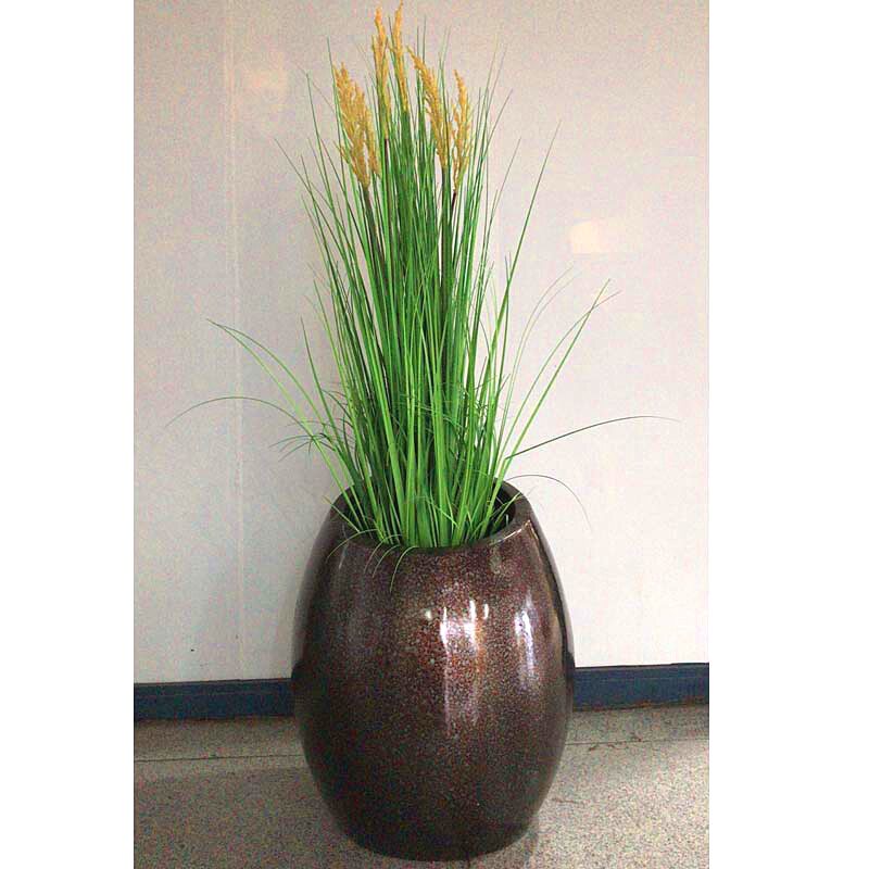 植物水草类野谷草洋葱草稻穗造景软装家居装饰摆件仿真水草摆件