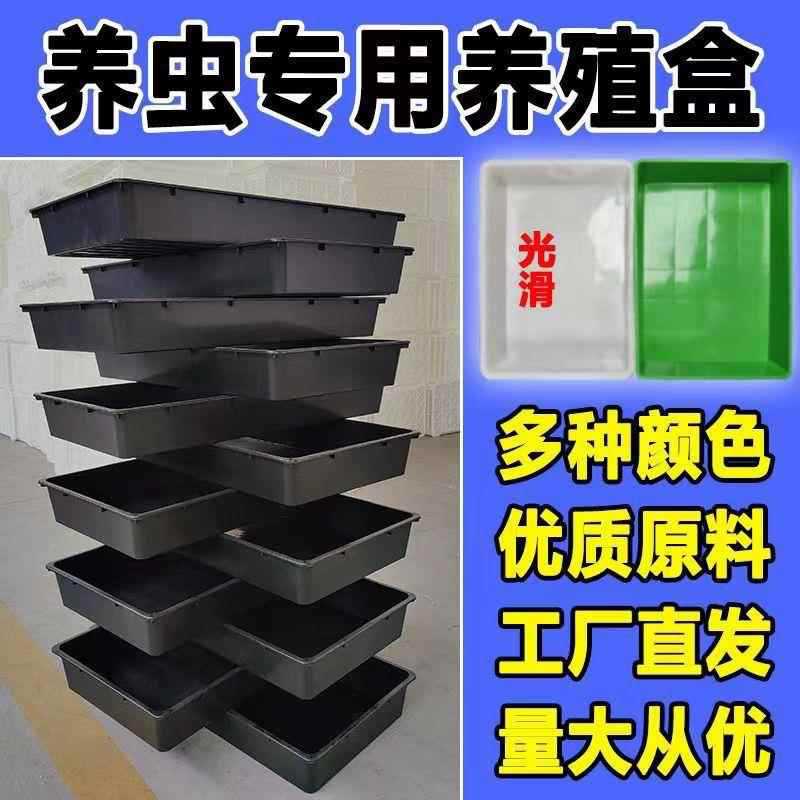 蛋白虫黄粉虫养殖盒大麦虫面包虫养殖工具塑料饲养盒厂家直销其他
