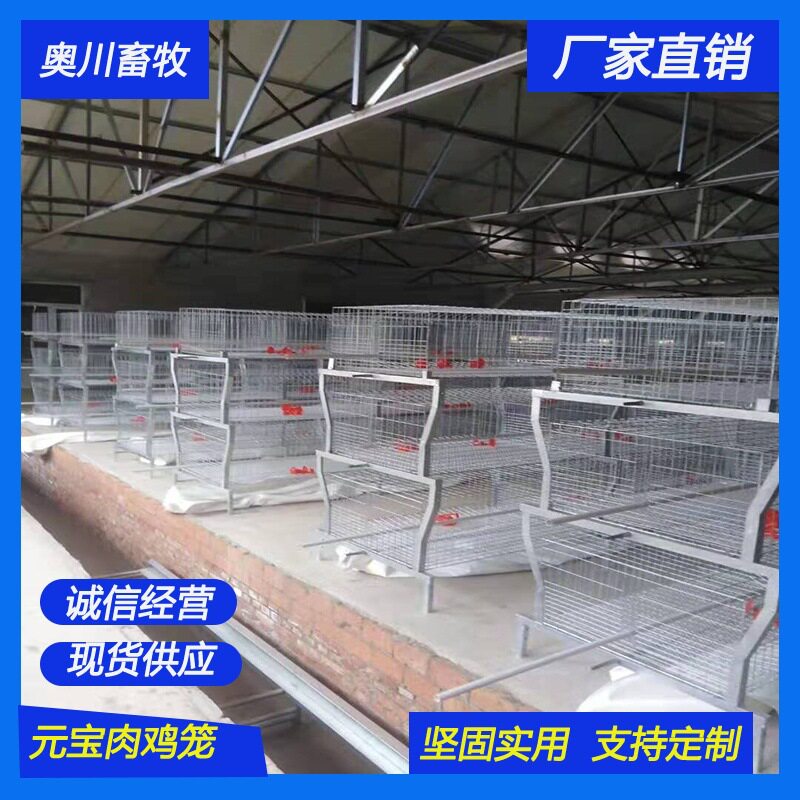 外贸跨境肉鸡笼全自动框架肉鸡笼半自动立体鸡舍镀锌养殖肉鸡笼子