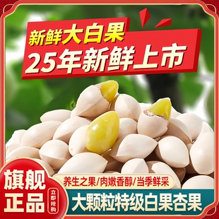 农科院白果银杏果新鲜大颗带壳当季新货特级干货百果官方旗舰店