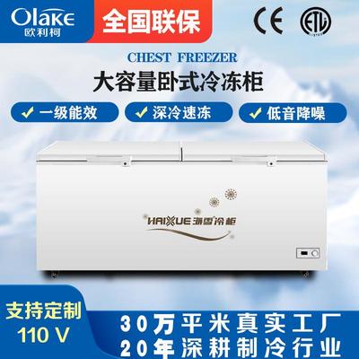 冰柜商用家用海雪速冻冷藏柜冷冻柜卧式冷柜大型厨房冻肉柜雪糕柜