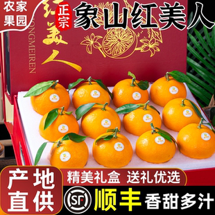 正宗象山红美人柑橘新鲜水果桔子爱媛28号果冻橙子礼盒装顺丰包邮