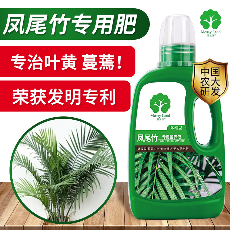 速发肥尾竹尾料凤凤竹营养液凤尾竹肥料肥营养液园艺