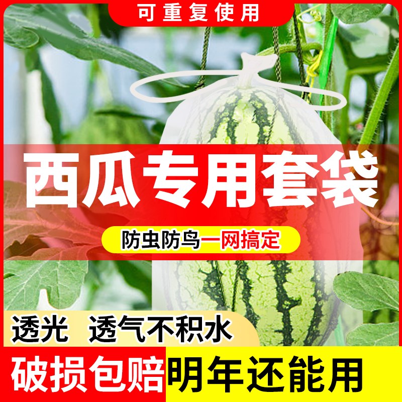 速发西瓜套袋防虫防鸟无袋布透蝇透光瓜果蔬菜果纺防果气神器