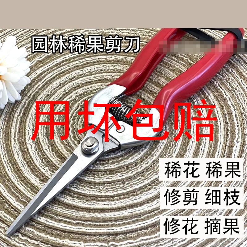 速发稀果椒蔬果摘果剪剪果专用剪子剪橘葡萄火龙果剪花剪柑园艺修