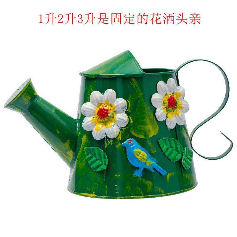 速发欧美大容量两用铁洒水壶家用浇花种菜养花大号浇花壶园艺喷壶