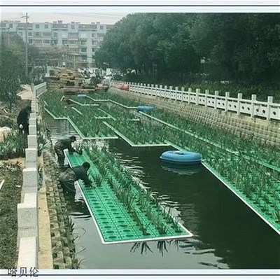 速发水上种植生态浮床水床种菜净化水质生工生态浮上人态浮岛人工