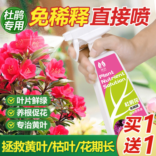 速发免稀释养营液肥料家用喜卉盆栽专用肥花酸性绿植通用肥