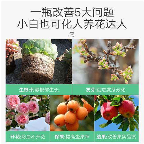 99%磷酸二氢钾速溶型促开花肥料家用磷钾肥养花草柑橘果树叶面肥