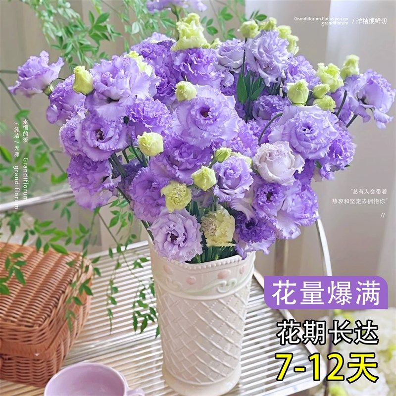 洋桔梗鲜花花束重瓣云南鲜花基地直发白紫色洋桔梗水养插花鲜切花