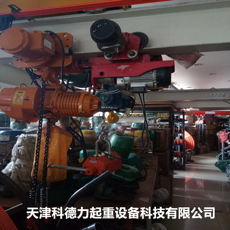 现货PA200-1000小型电动葫芦 微型葫芦家用220V小吊机 微电