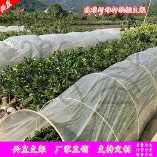 玻璃钢弹力棒菜棚塑料大棚拱棚支架保温花棚拱顶插秧育苗小竿地杆